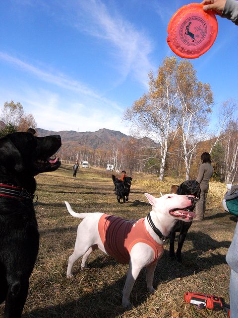 a0093592_23445742.jpg