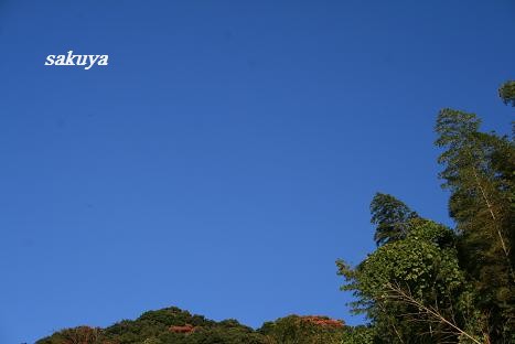 e0122194_17105921.jpg