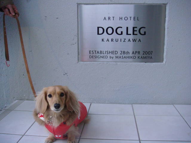 d0098295_0315368.jpg