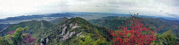 a0097298_10103217.jpg