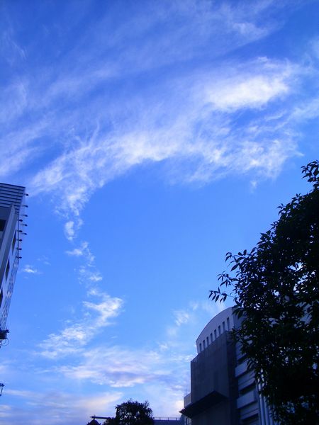 d0069498_21111133.jpg