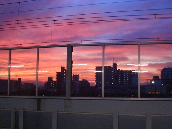 d0069498_2123738.jpg
