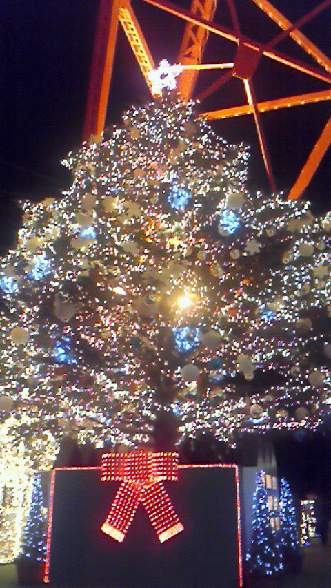 e0156298_1891742.jpg