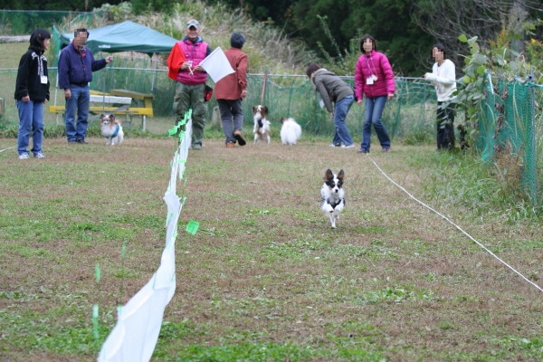 c0044199_13231370.jpg