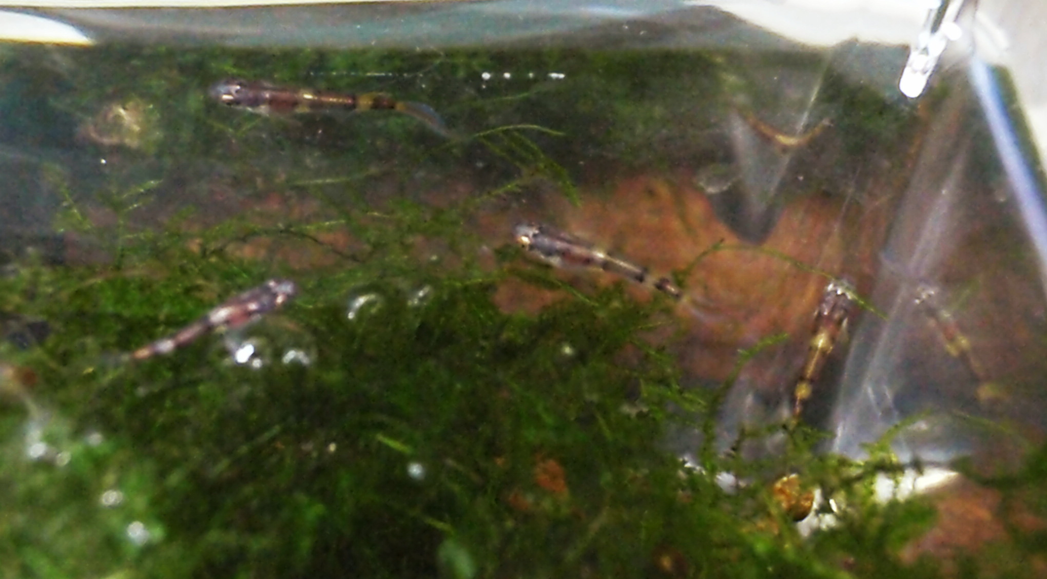 c0147699_151523.jpg