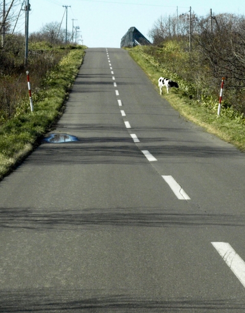 f0020302_223333.jpg