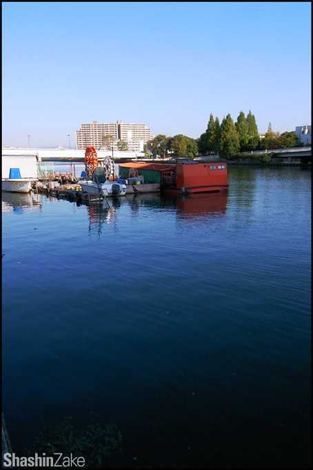 c0102003_1713394.jpg