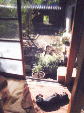d0077603_1132357.jpg