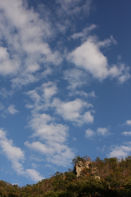 e0092203_2217579.jpg
