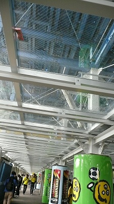 a0024005_429516.jpg