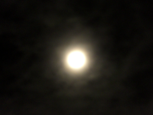 f0182405_2335793.jpg