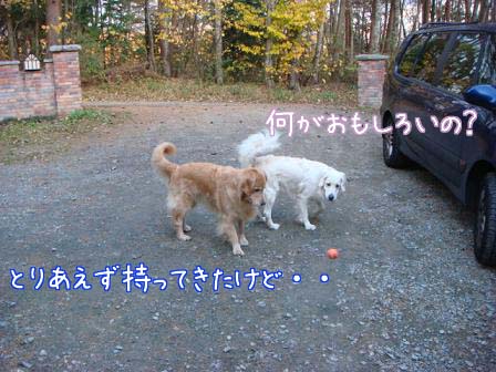 f0064906_1801777.jpg