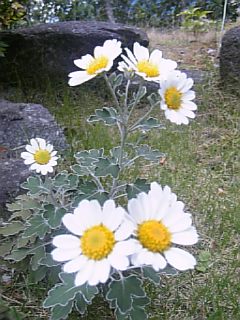 e0098908_22145723.jpg