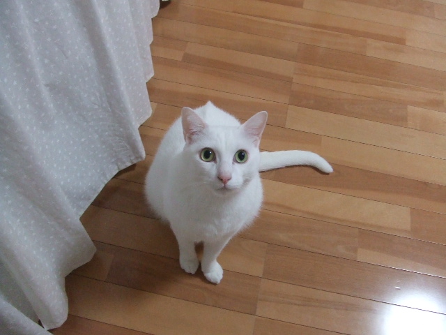 d0117011_625462.jpg