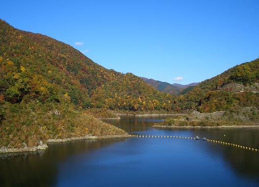 e0033713_1612394.jpg