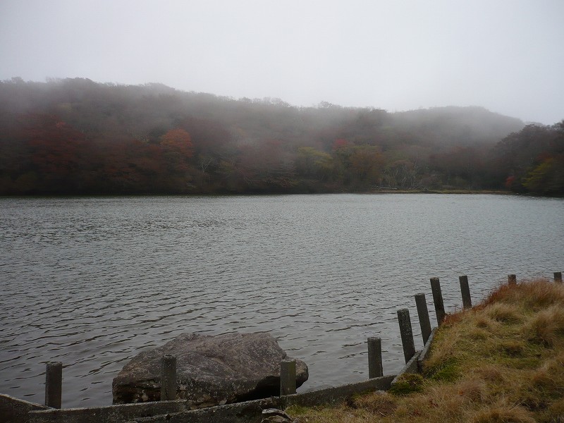 f0182513_1951596.jpg