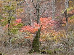 f0182513_21421199.jpg