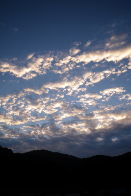b0116115_946415.jpg