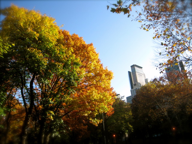 c0120817_1143797.jpg