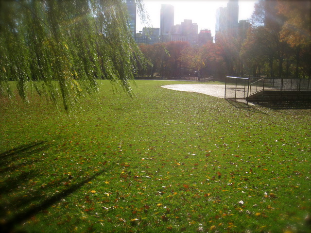 c0120817_1145582.jpg