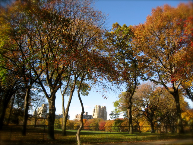 c0120817_11511855.jpg