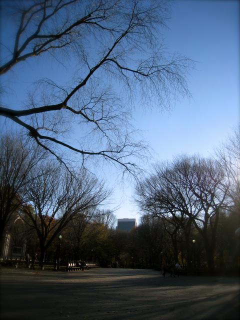c0120817_11544342.jpg