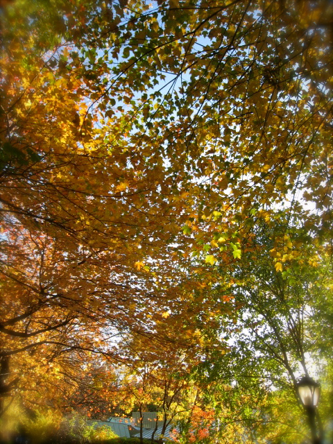 c0120817_1205452.jpg