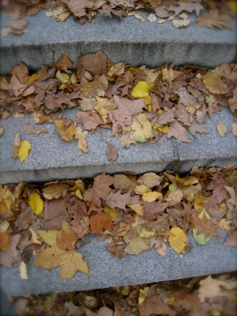 c0120817_1284728.jpg
