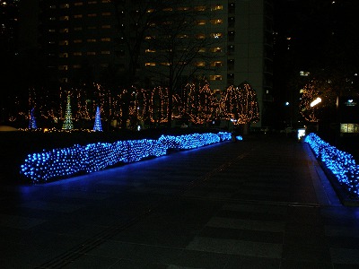 b0144519_1635497.jpg