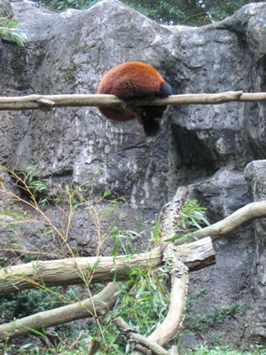 d0072521_23193233.jpg