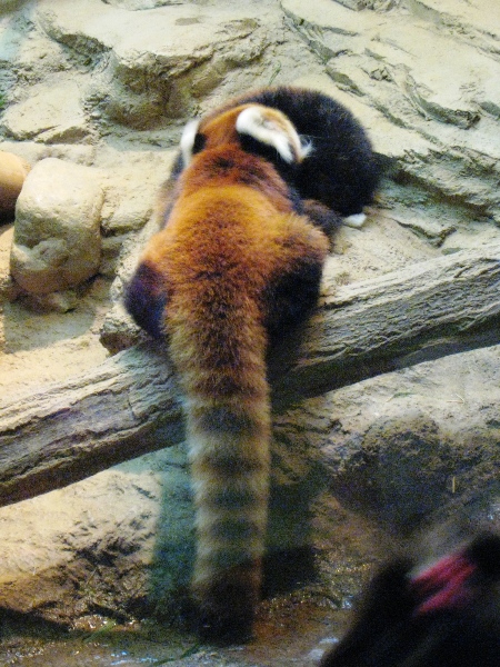 d0072521_2361716.jpg