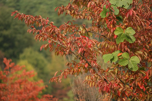 c0109827_16241348.jpg