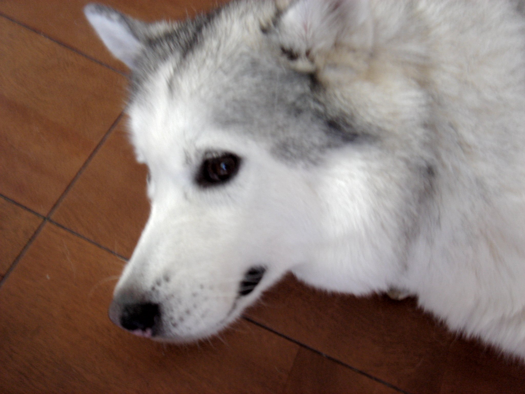 d0118729_2336286.jpg