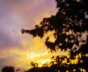 a0070831_9113658.jpg