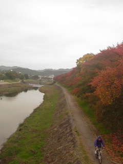 f0100831_9435173.jpg