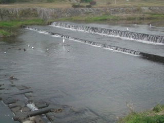 f0100831_9449100.jpg