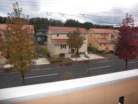 b0041532_10414842.jpg