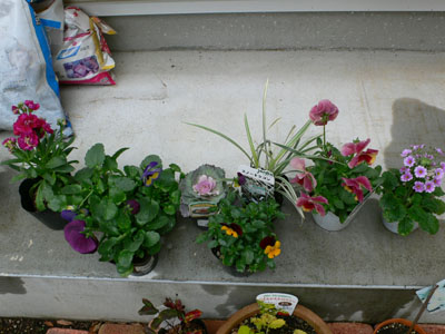f0061334_2153732.jpg