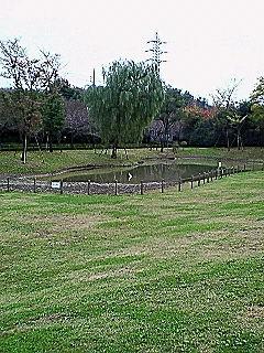 f0161834_23111740.jpg