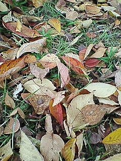 f0161834_235447.jpg