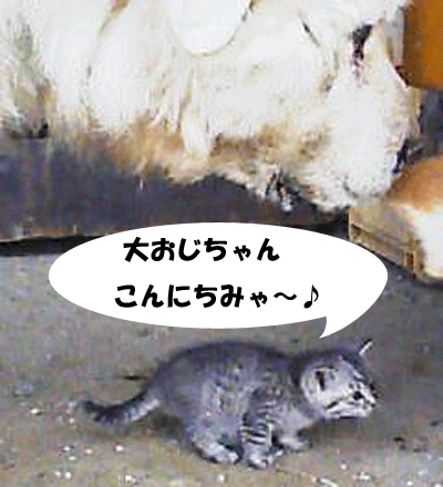 f0008935_10242185.gif