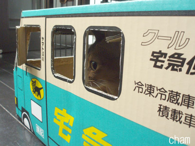 c0132438_21585570.jpg