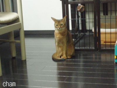 c0132438_225740.jpg