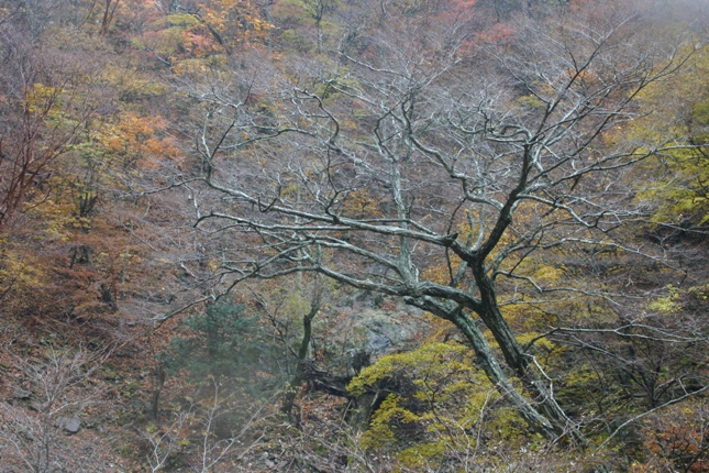 e0083238_213110.jpg