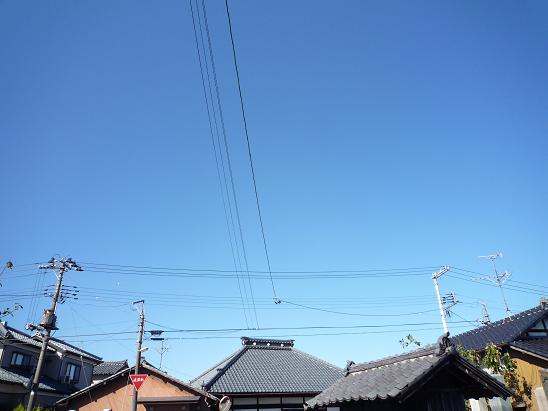 f0048339_13451643.jpg