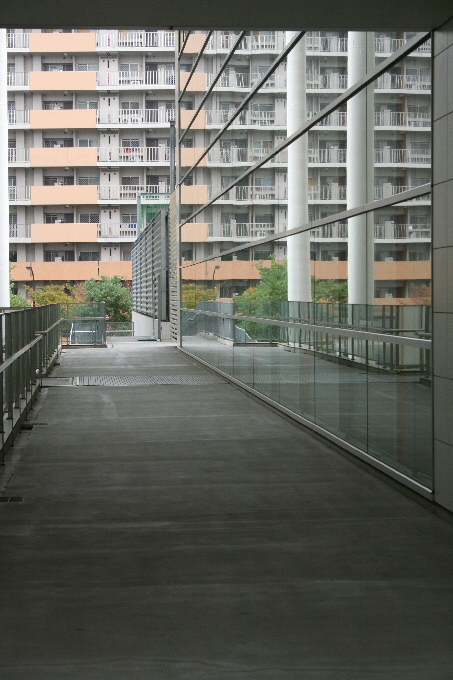 f0174244_15545579.jpg