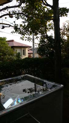d0134147_8462416.jpg
