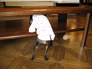 c0123149_15121014.jpg
