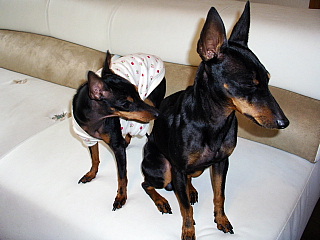 c0123149_1515348.jpg