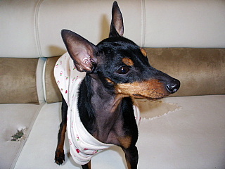 c0123149_1563566.jpg